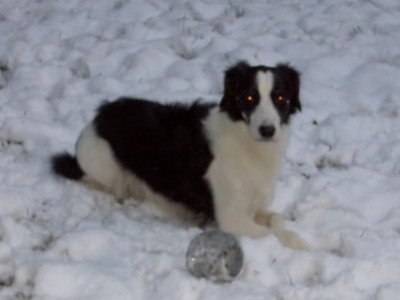 Schnee25.11.05.11.05_001.jpg