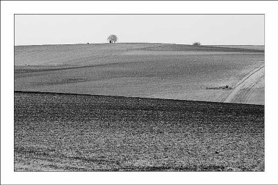 Feldansichten_1_28-02-04.jpg