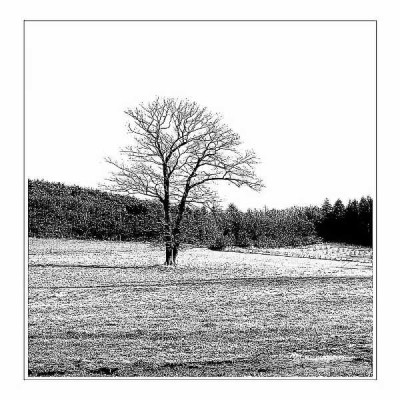 Landschaften_Eifel_2_05-02-05.jpg