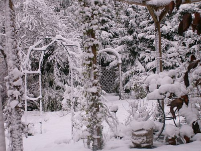 Schnee-11-05.jpg