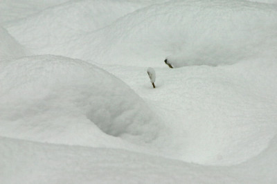 Schnee-Nov-1.jpg