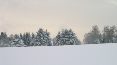 Erster-Advent-271105.jpg