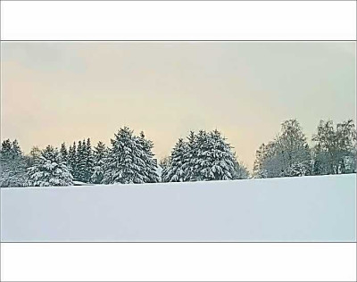 Erster-Advent-271105_Gartenlady.jpg