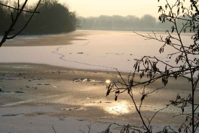 Alte-Donau-4.jpg