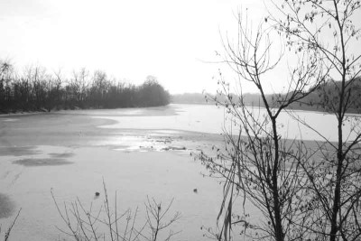 Donaugewasser--SW-1.jpg