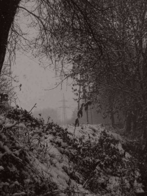 2005-11-27_bw.jpg