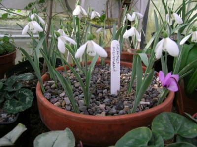 dscn1511.jpg