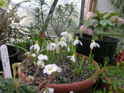 dscn1510.jpg