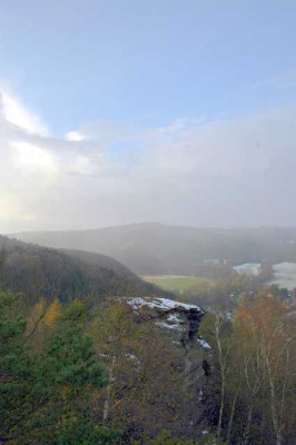 Wald_2__27-11-05.jpg