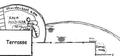 Gartenplan_Rosenbeet.jpg