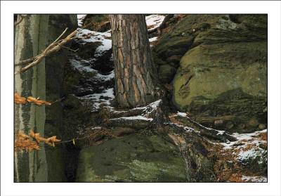 Holz_und_Stein_1_27-11-05.jpg