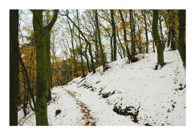 Wege_2_27-11-05.jpg