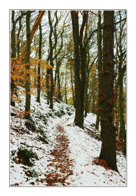 Wege_3_27-11-05.jpg
