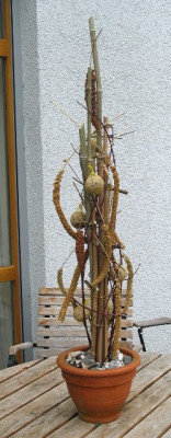 Futterturm_2.jpg
