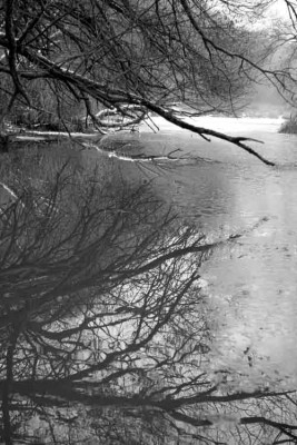Am-Weiher-SW-3.jpg
