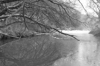 Am-Weiher-SW-2.jpg