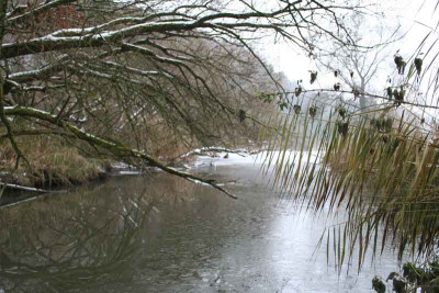 Am-Weiher-1.jpg
