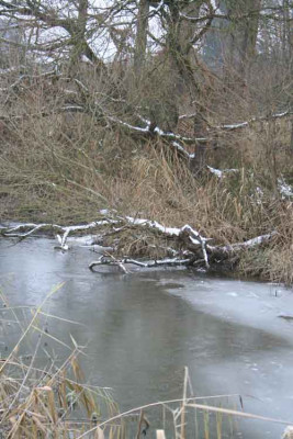 Am-Weiher-3.jpg