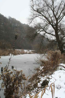 Am-Weiher-4.jpg