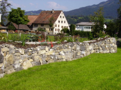 Mauer_bepflanzt_05.JPG