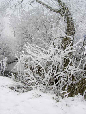 Dezember-2004-2.jpg