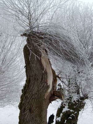 Dezember-2004.jpg