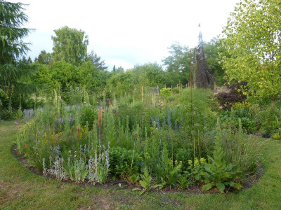 2015-06-23 Gräserbeet.jpg