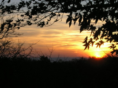 Sonnenaufgang-021205.jpg