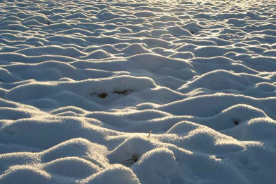 Schneewellen.jpg