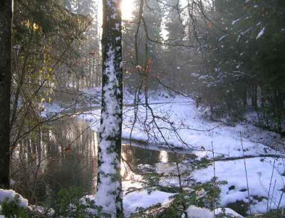 DSCN2609_a.jpg