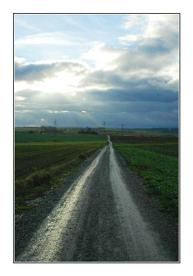 Feldansichten_1_04-12-05.jpg