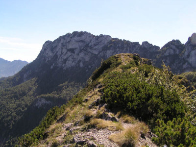 gefaehrlicher_weg.jpg