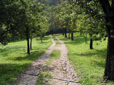 wege_daheim.jpg