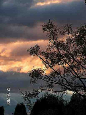 dic02-2005-wolken.jpg