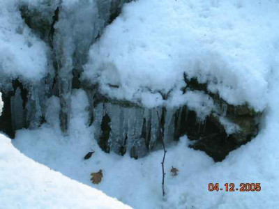 DSCN2611.jpg