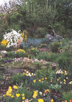 Garten_im_April.jpg
