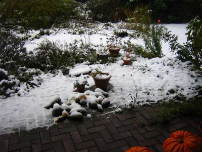 Schnee-im-November.jpg