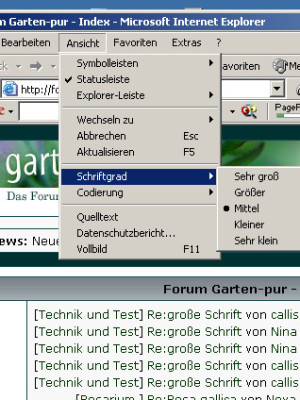 schriftgrad.jpg
