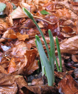 03.12.05_an_der_Terrasse.jpg