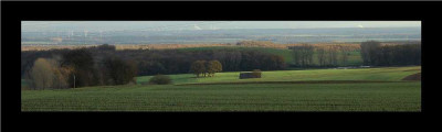 Feldansichten_3_04-12-05.jpg