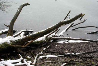 Morgenspaziergang-3.jpg
