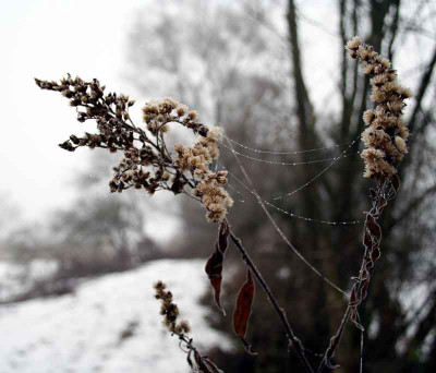 Morgenspaziergang-1.jpg