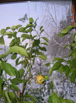 DSCN2567.jpg