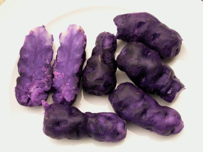blaue-Kartoffeln-gekocht.jpg