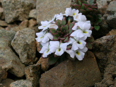 DSCN1120.jpg