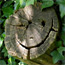 gartensmiley.jpg