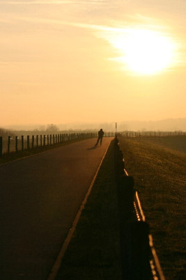 Rhein-Dez-03.jpg