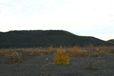 Halde-Dez-01.jpg