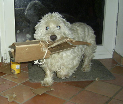 eddie_geschenk_3.jpg