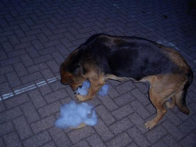 Nelly_Ball3.JPG